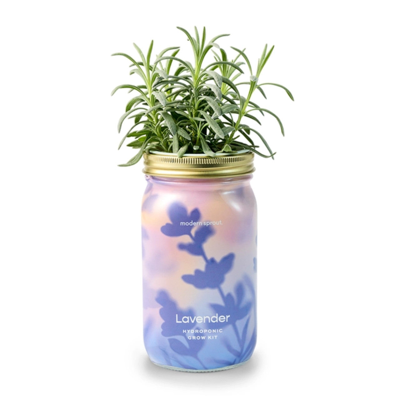 Modern Sprout Herb Garden Jar #color_lavender