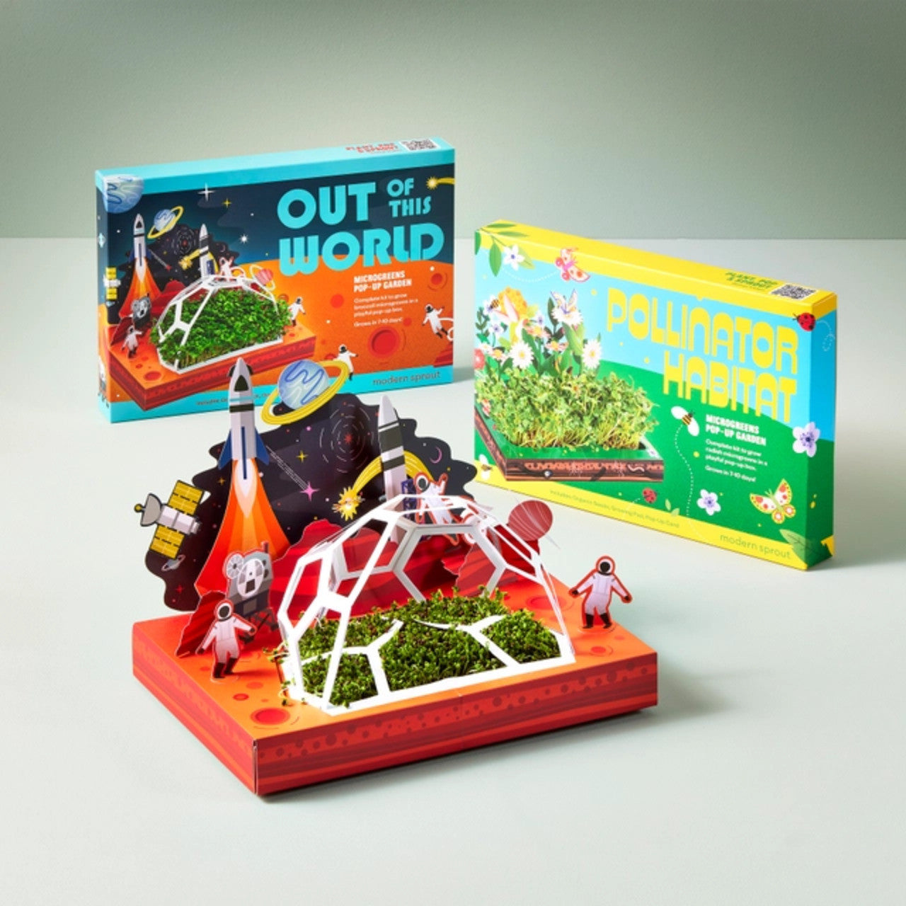 Modern Sprout Microgreen DIY Kit 