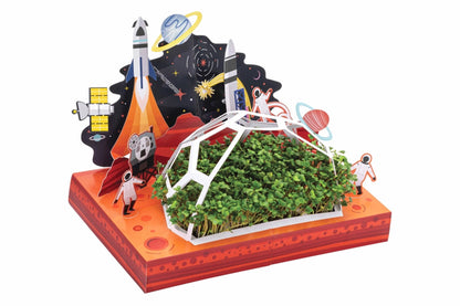 Modern Sprout Microgreen DIY Kit 