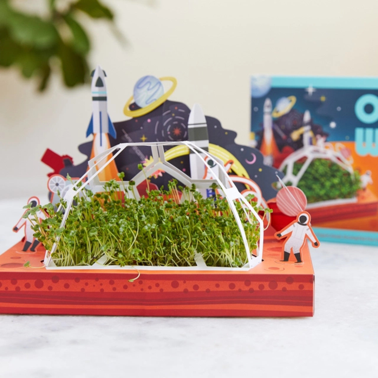 Modern Sprout Microgreen DIY Kit 