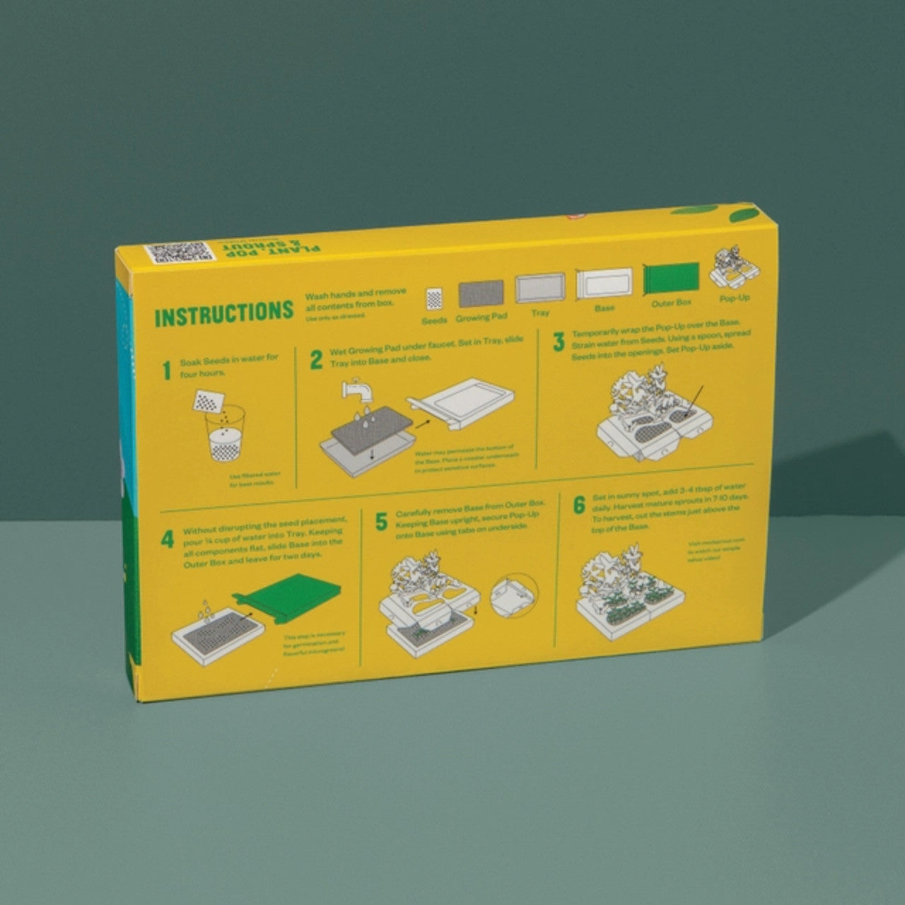 Modern Sprout Microgreen DIY Kit 