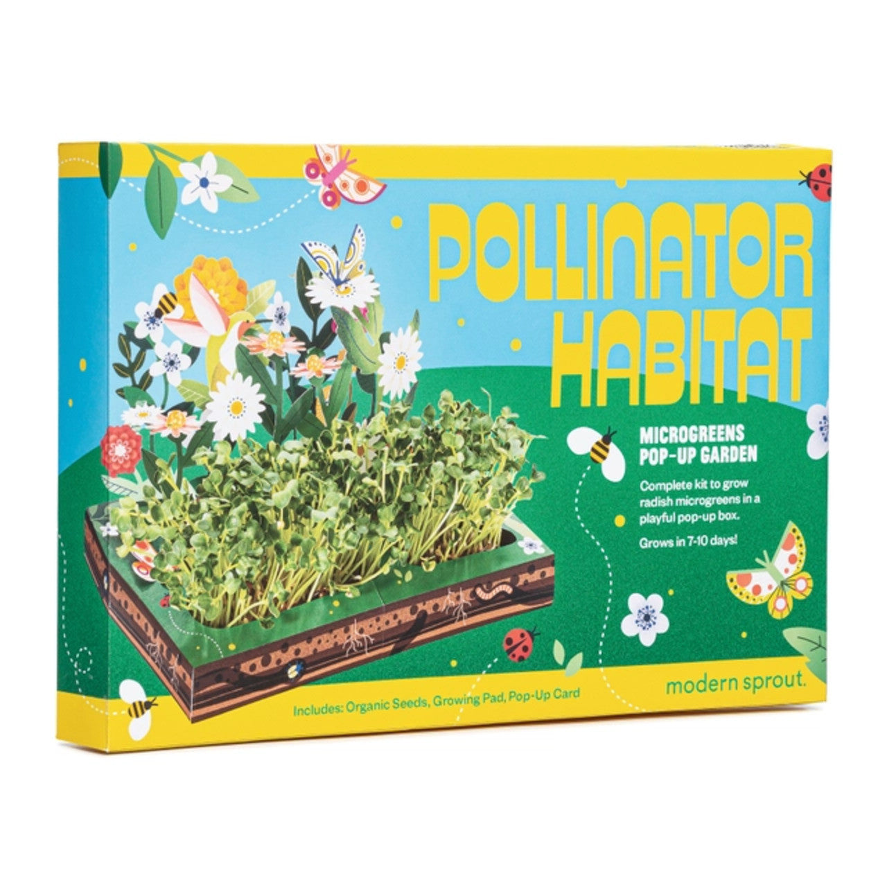 Modern Sprout Microgreen DIY Kit 