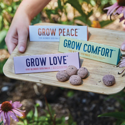 Modern Sprout Seed Balls 
