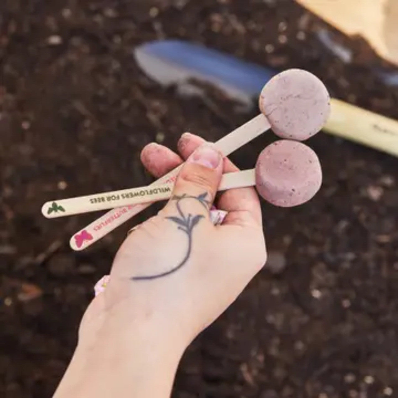 Modern Sprout Pollinator Seed Pops 
