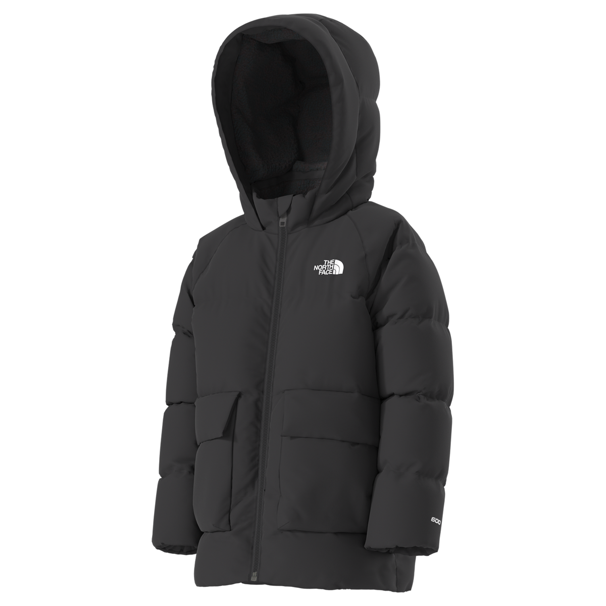 Kids Insulated Down Winter Parka – The North Face North – Fleece-Lined & Water-Repellent_