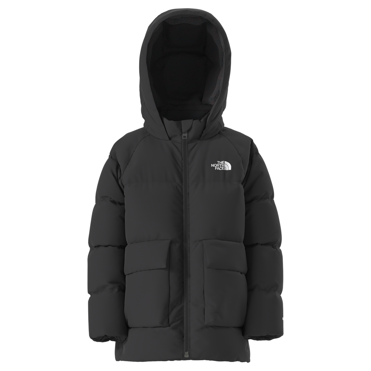 Kids Insulated Down Winter Parka – The North Face North – Fleece-Lined & Water-Repellent_