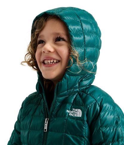 Kids The North Face Thermoball Hooded Jacket | The North Face 