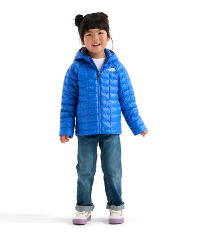 Kids The North Face Thermoball Hooded Jacket | The North Face 
