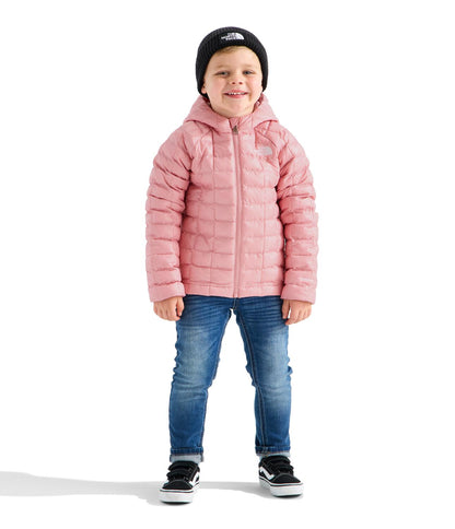 Kids The North Face Thermoball Hooded Jacket | The North Face 