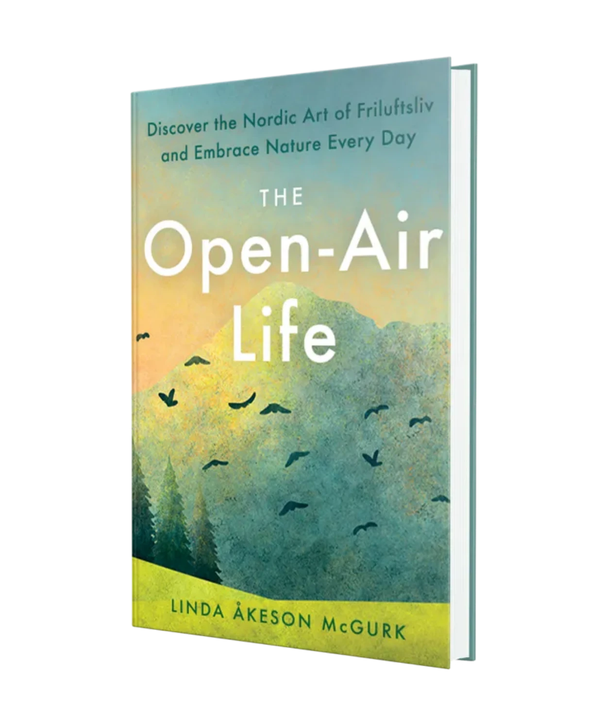 Book cover of 'The Open-Air Life' with a scenic illustration and title text.
