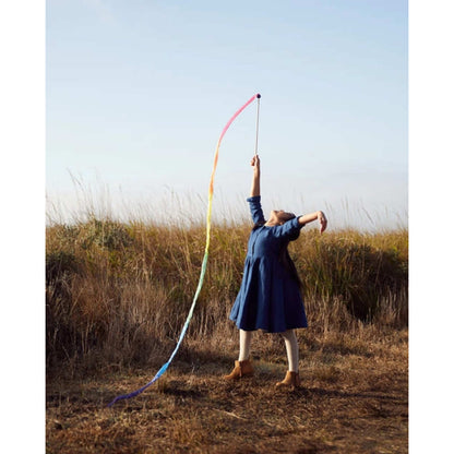 Sarah's Silks Rainbow Streamer