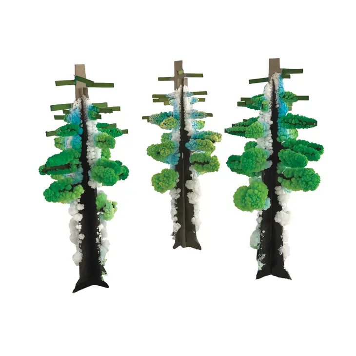 Crystal Growing Redwood Forest