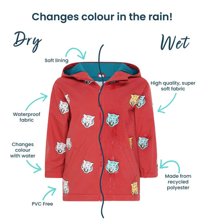 Color Changing Rain Coat 