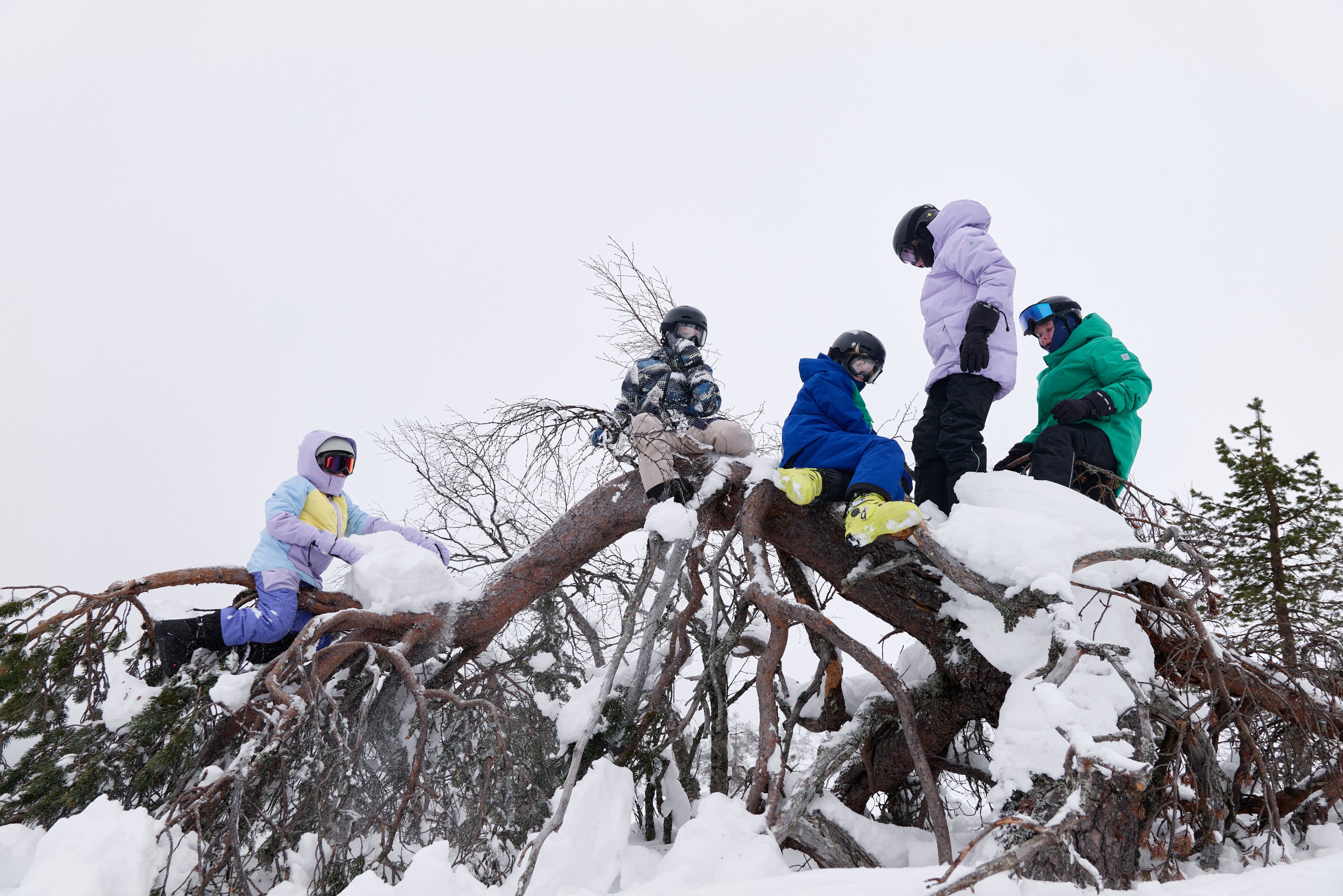 Five people in colorful winter jackets sitting on a snow-covered tree branch.