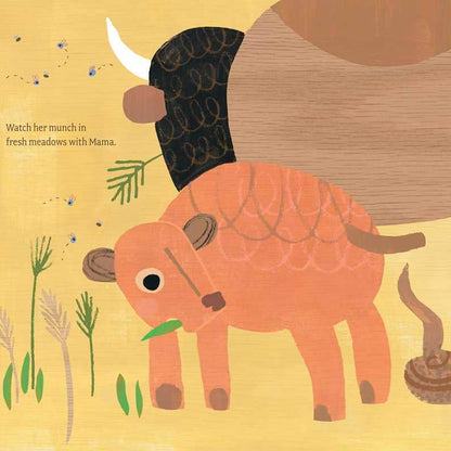 Poo Pile on the Prairie by Amy Hevron