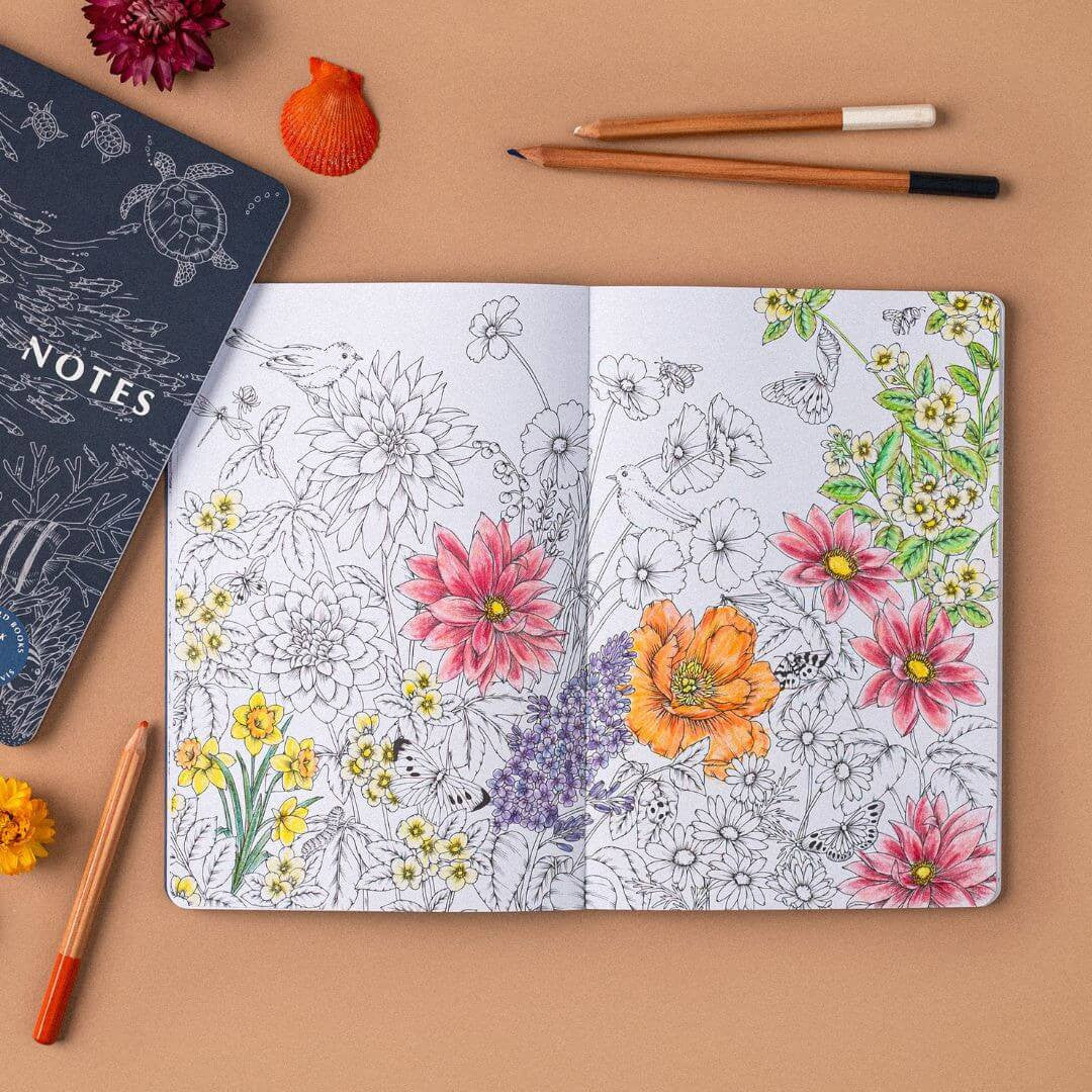 Nature Notes vol. 2