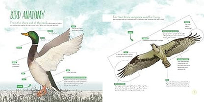 Fly with Me: A Celebration of Birds Through Pictures, Poems, and Stories