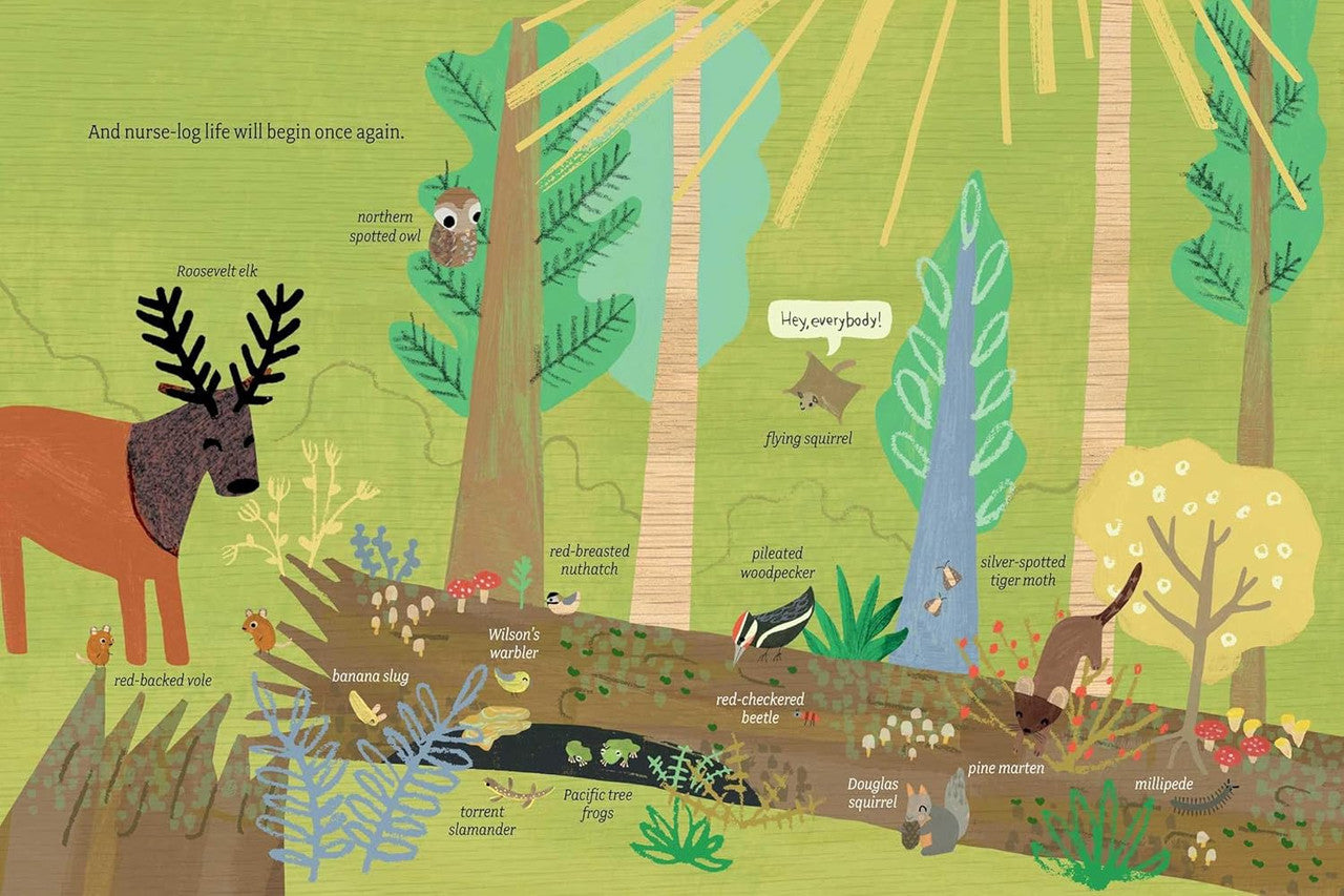 Log Life (Tiny Habitats)