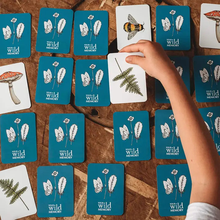 Wild Memory card game