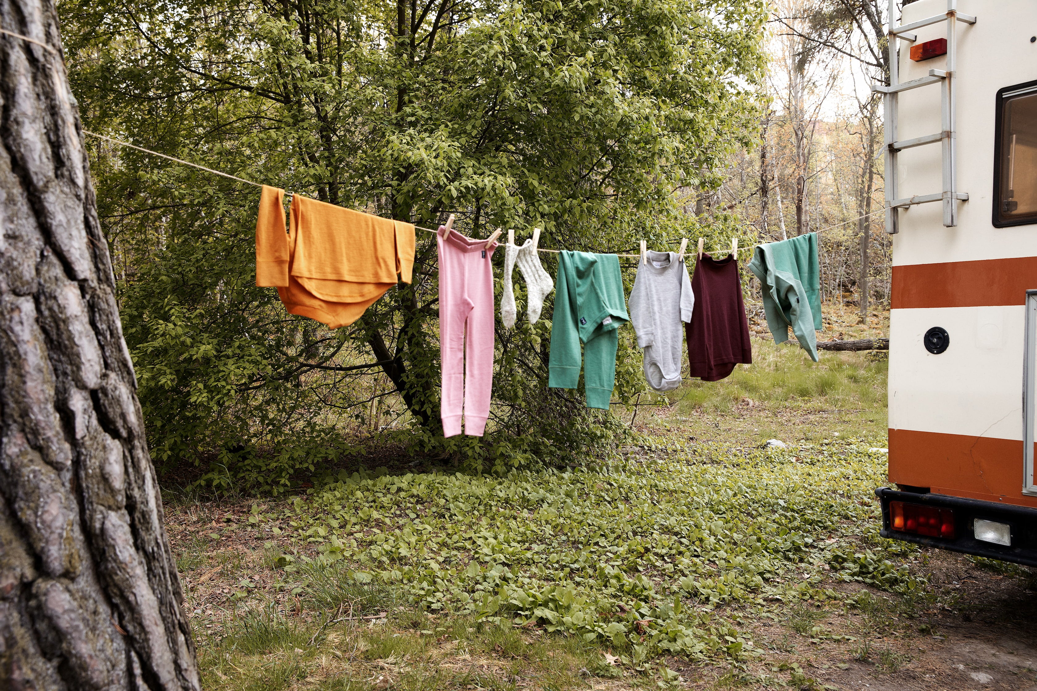 Merino Wool