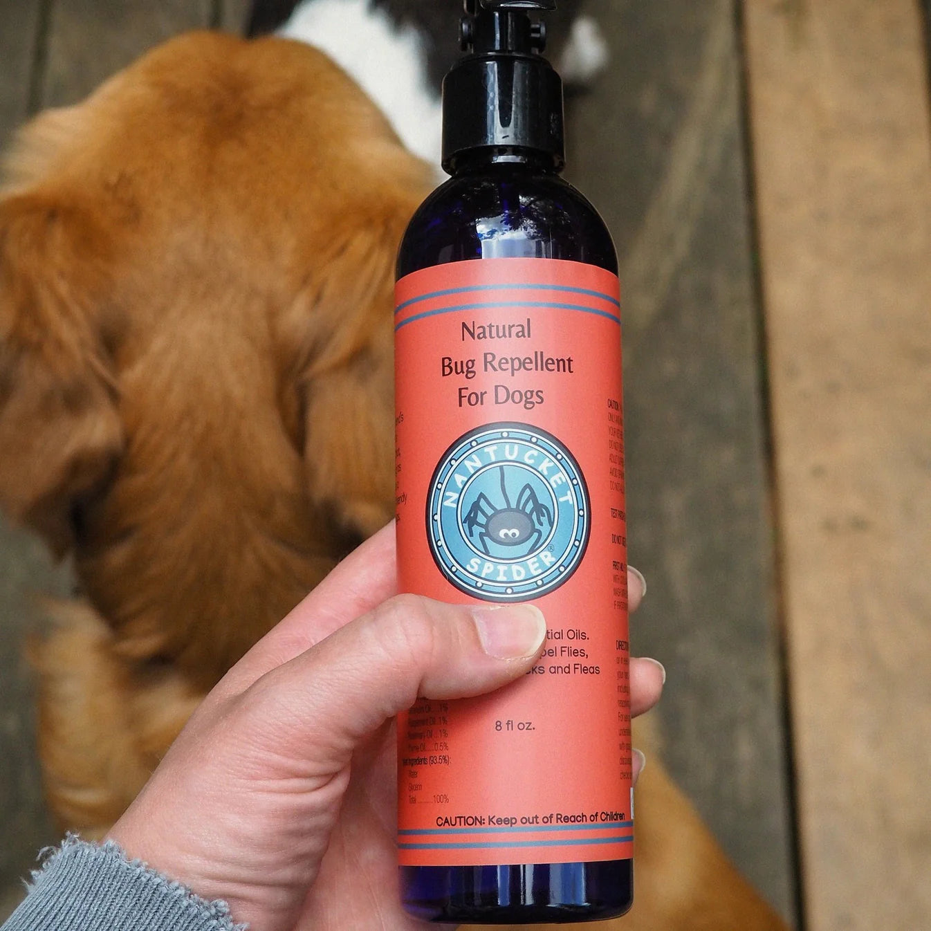 Natural Bug Repellent for Dogs Spray - Gentle yet Effective, Safe | Nantucket Spider_