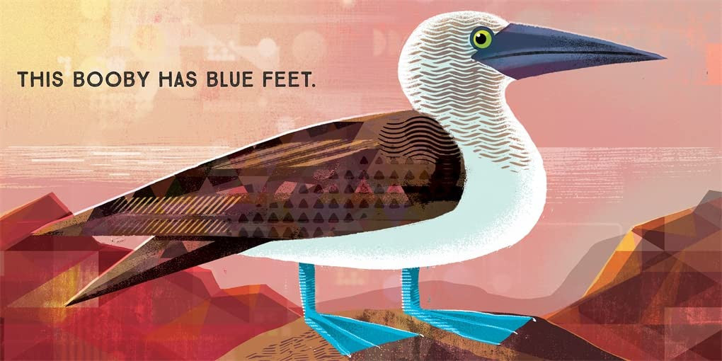 Odd Birds: Meet Nature's Weirdest Flock