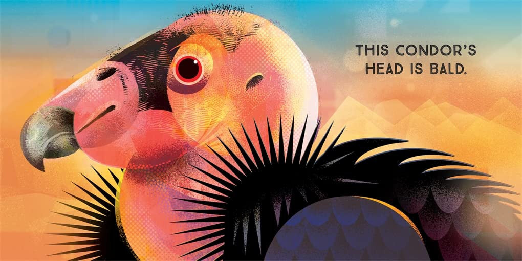 Odd Birds: Meet Nature's Weirdest Flock