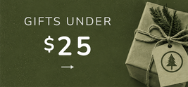 Promotional graphic with the text 'GIFTS UNDER $25' on a dark olive green background, alongside a wrapped gift box tied with twine and a paper tag featuring a tree icon.