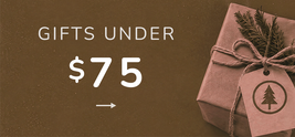 Promotional graphic with the text 'GIFTS UNDER $75' on a warm brown background, alongside a wrapped gift box tied with twine and a paper tag featuring a tree icon.
